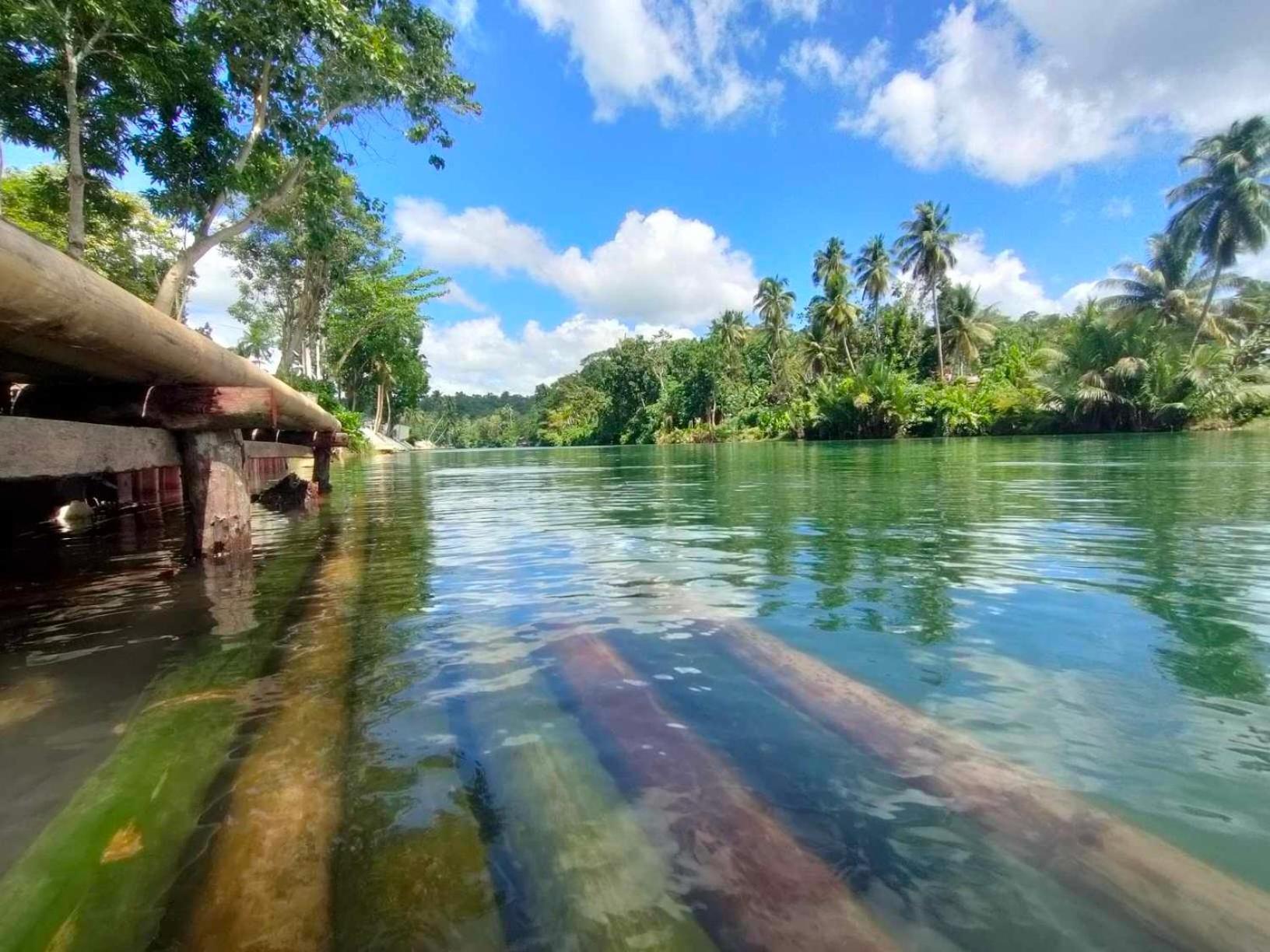 Gbu Loboc River Guesthouse Екстериор снимка